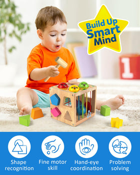 Coogam wooden Montessori shape sorter cube colorful blocks ready for sorting and problem solving play