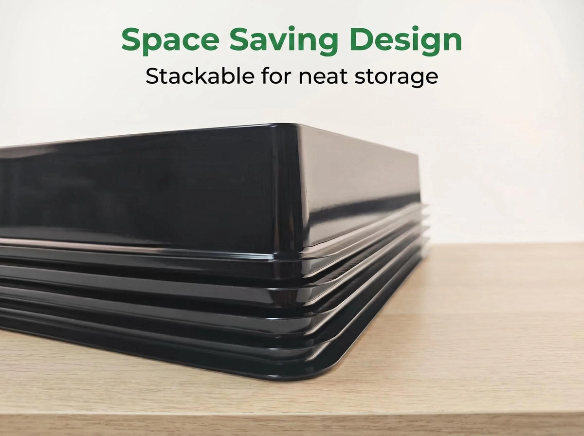 Coolbyl collector-display tray keeps cards neatly arranged for quick viewing.