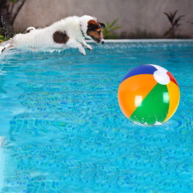 Coopay rainbow balls as summer party decorations for beach or pool