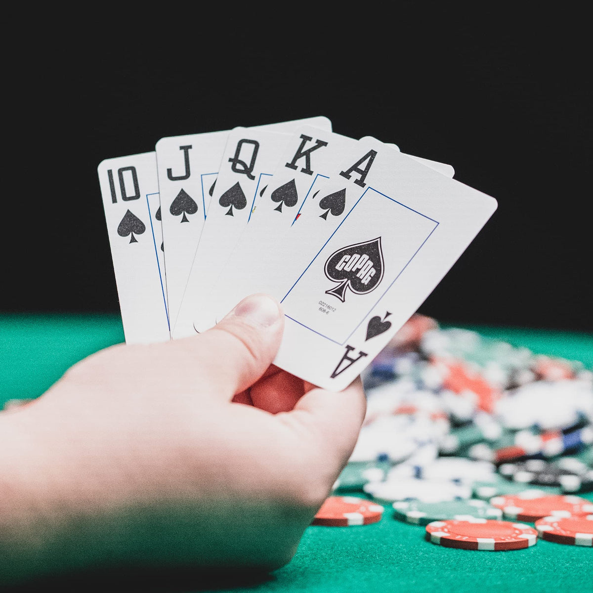 Copag hard plastic case protects two decks during travel.