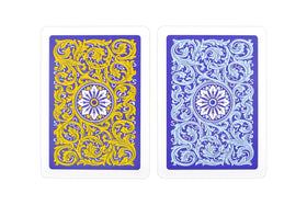 Copag 1546 hard plastic case keeps cards secure.