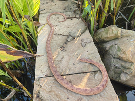 COTOSEY realistic snake prop ideal for Halloween pranks.