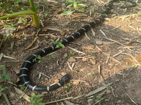 COTOSEY soft rubber snake feels durable and safe for playful jokes.