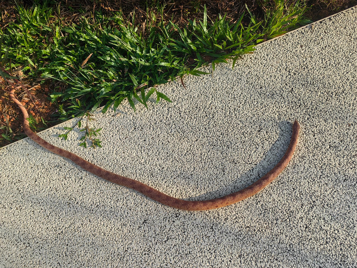 COTOSEY soft rubber snake emphasizes durable, safe handling.