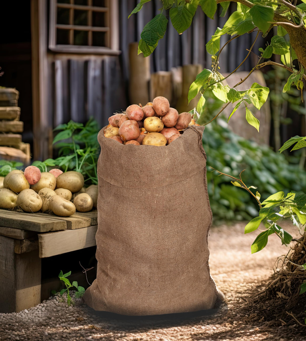 Cotton Craft tear-resistant burlap sacks endure repeated use