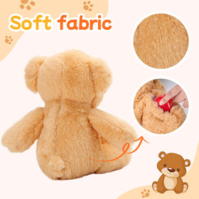 CozyWorld Heartbeat Teddy Bear gift-ready packaging for celebrations
