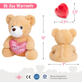CozyWorld room-friendly stuffed bear adds warm decor and heartfelt messages.