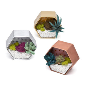 Craft Crush faux moss layer adds natural texture to display