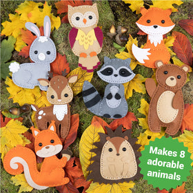 Step-by-step video tutorials guide Craftorama projects from start to finish