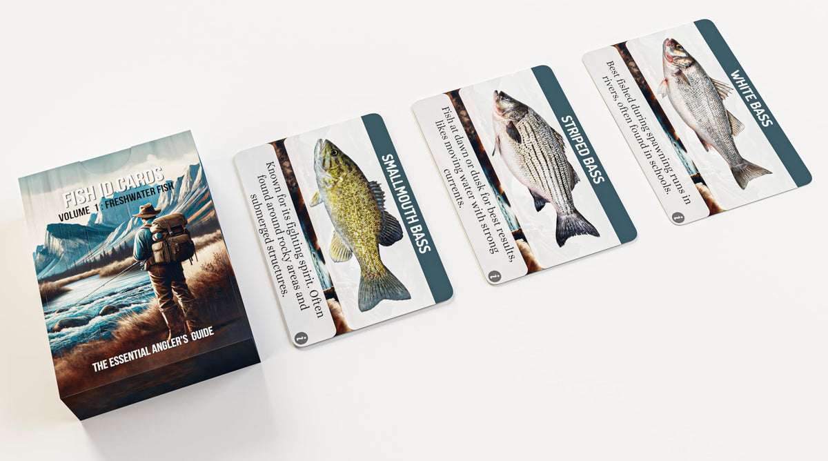 Crane Publishing Freshwater ID Cards 52 species focus image helps identify fish quickly.