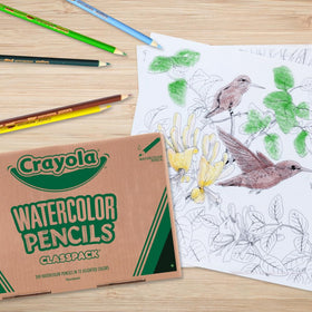 Crayola Classpack watercolor pencils safe and non-toxic for ages 3 and up.