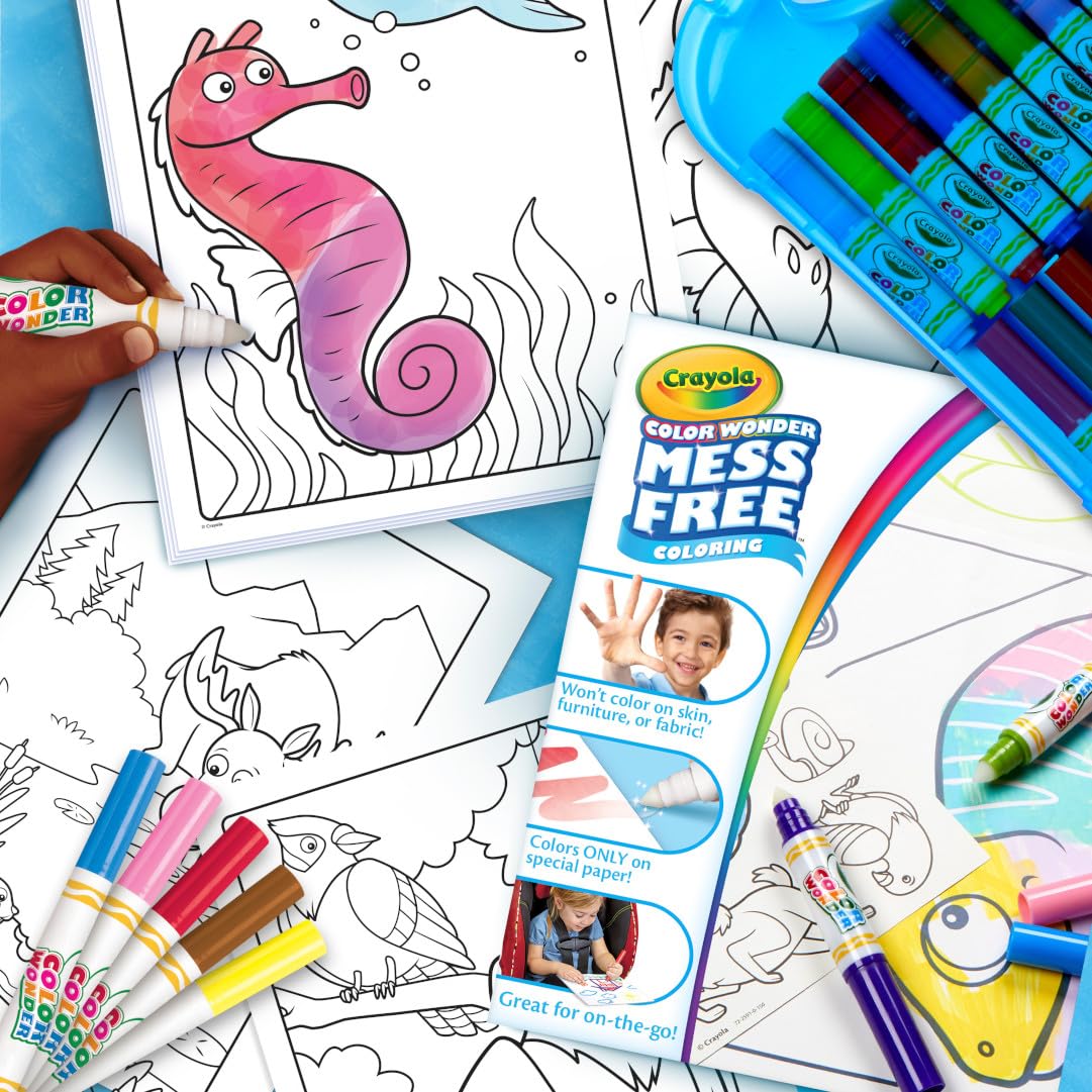 Crayola Color Wonder travel case keeps supplies organized.