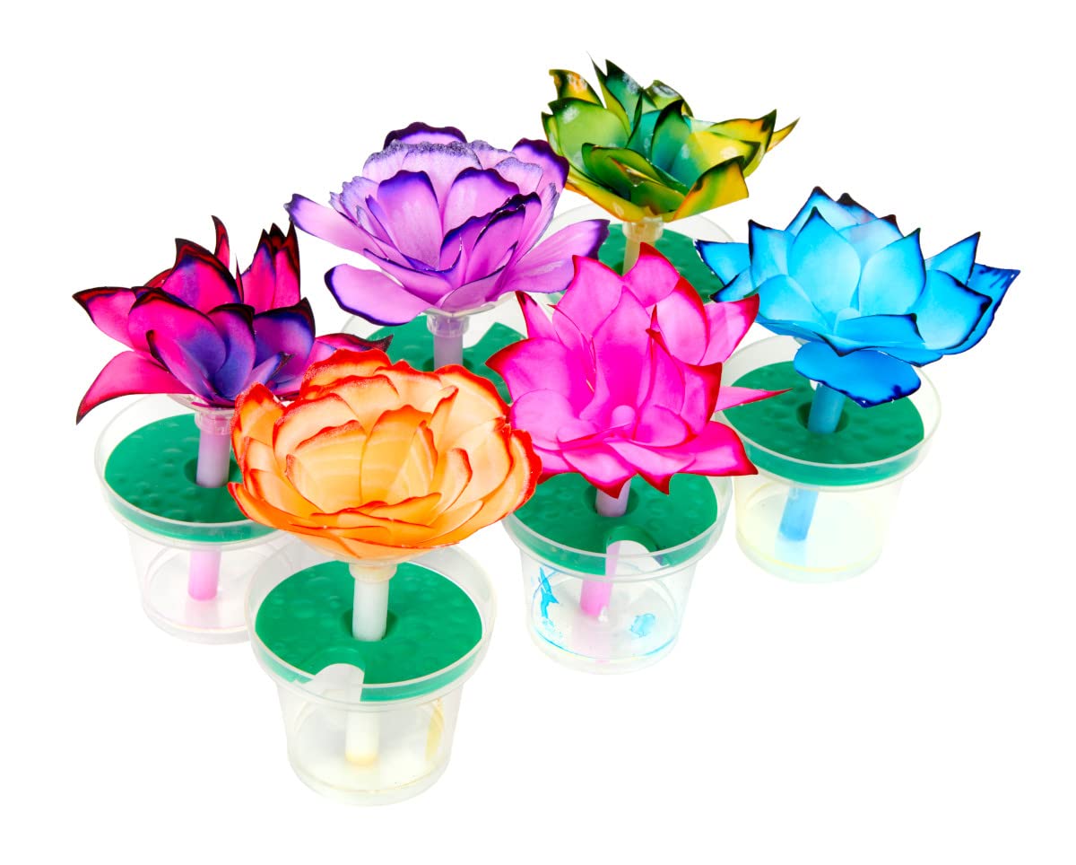 Crayola Paper Flower Science Kit refill idea using white coffee filters