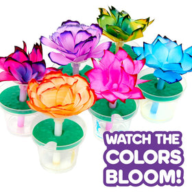 Crayola Paper Flower Science Kit with step-by-step guide for kids