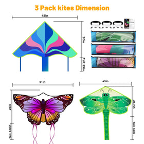 Crogift dragonfly kite with vivid colors, great for lively park play.