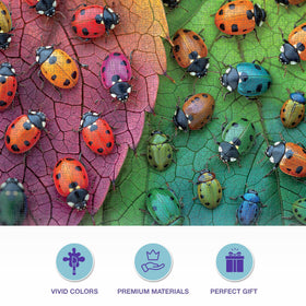 Cross & Glory The Ladybug Rainbow puzzle on a table ready for solo play.