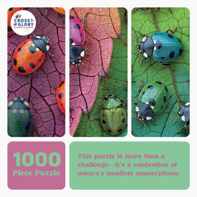 Cross & Glory The Ladybug Rainbow puzzle pieces interlocking smoothly.