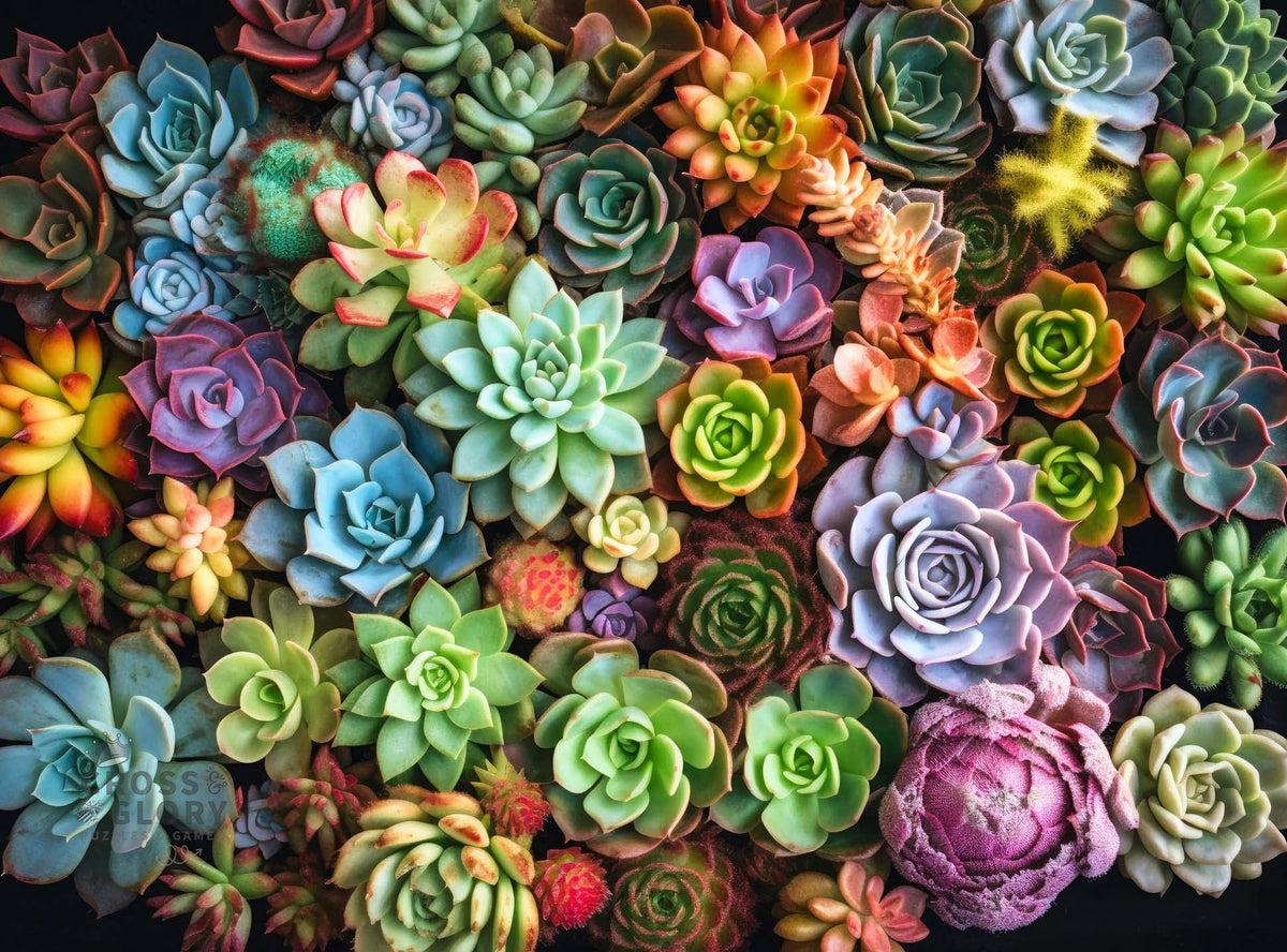 Cross & Glory Succulent Symphony cover with vibrant colors for captivating display
