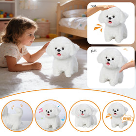 CU-MATE Maltese puppy tail-wag highlights cheerful companionship during playtime.