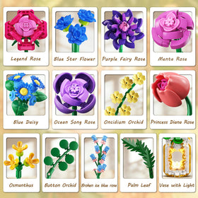 CUBIMANA 1093-piece botanical collection offers rich display options