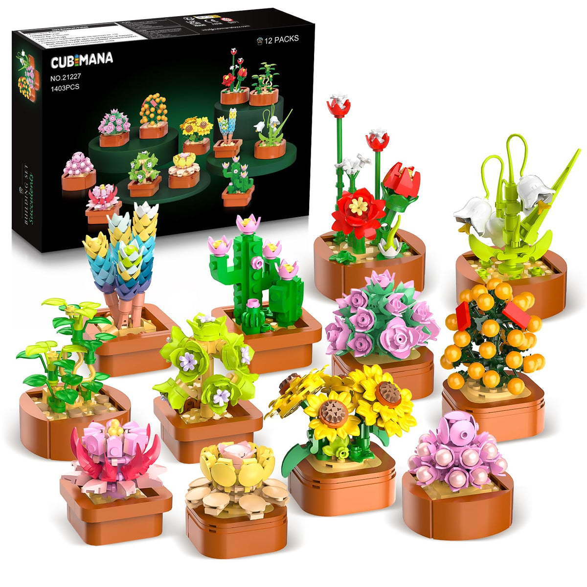 CUBIMANA 12 pack flowers succulents display in colorful mini pots for home decor