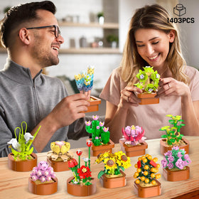 CUBIMANA build your own succulents terracotta pot display for desk or shelf