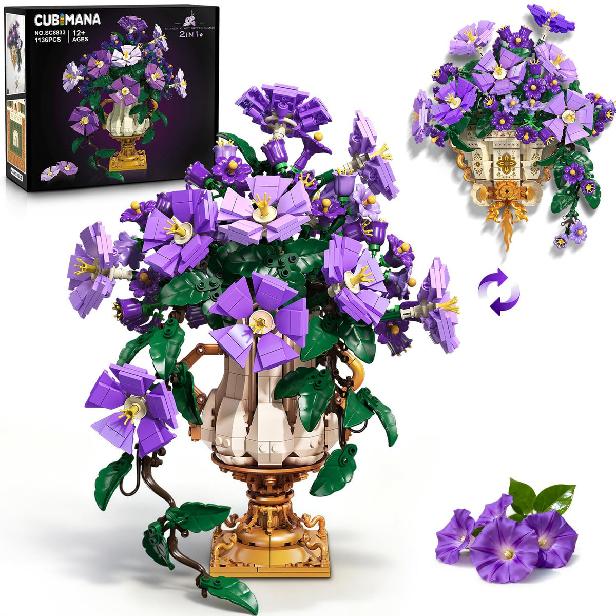 CUBIMANA Morning Glory bonsai close-up with vibrant purple-green petals for elegant home decor.