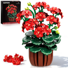 CUBIMANA geranium bonsai blocks form a display-ready home decor piece.