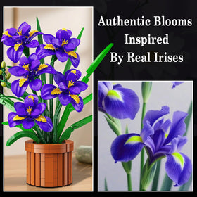 CUBIMANA Iris bonsai pot shot showing wooden-style planter and natural charm