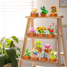 CUBIMANA lifelike succulents for bright home and office decor ideas