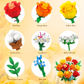 CUBIMANA rose meaning young beginnings conveys friendship in display.
