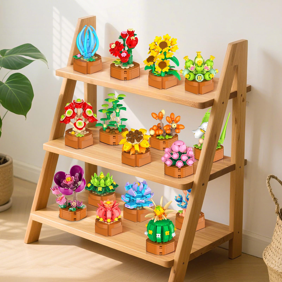 CUBIMANA succulents in terracotta pots for eye-catching home office decor.