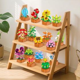 CUBIMANA succulents in terracotta pots for eye-catching home office decor.