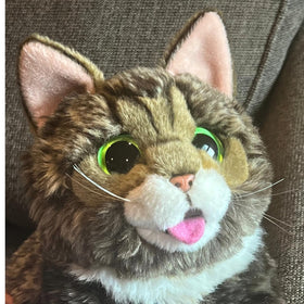 10-inch Lil Bub plush, compact cuddle friend.