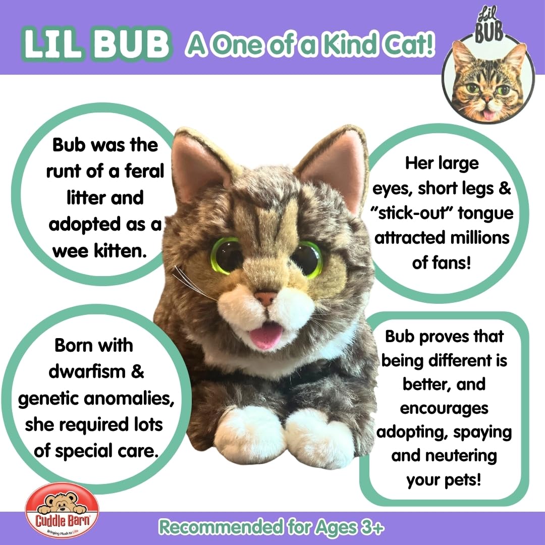 Lil Bub plush, suitable for ages 3+, safe cuddling.