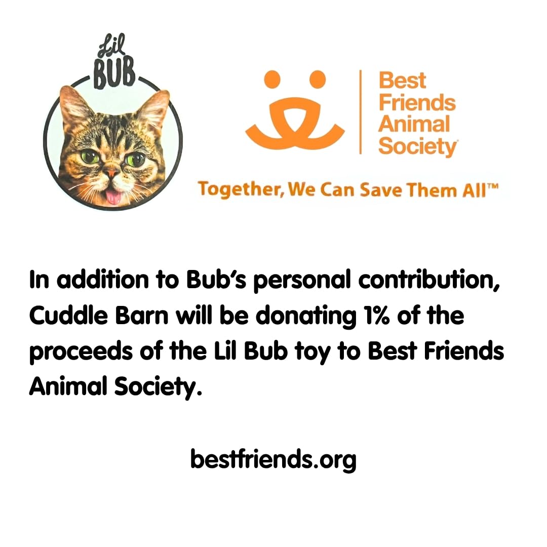 Gift-ready Lil Bub plush for fans and collectors.