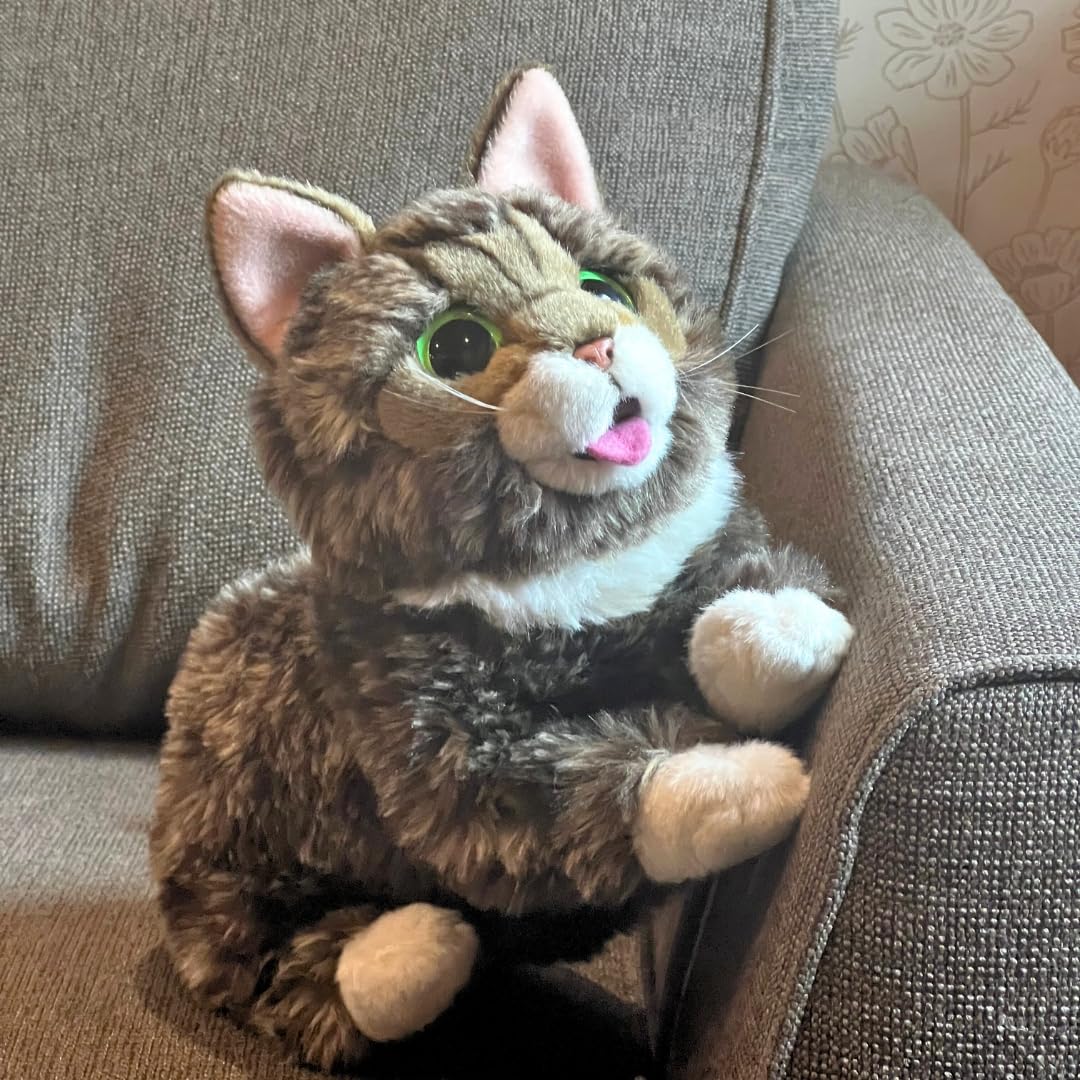Hangtag with product info on Lil Bub plush.