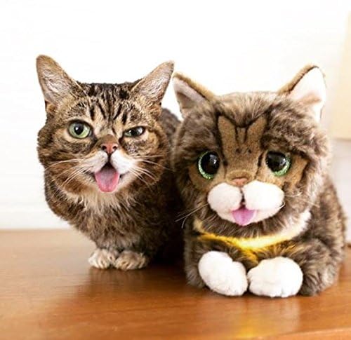 Lil Bub plush packaging in a polybag for protection.