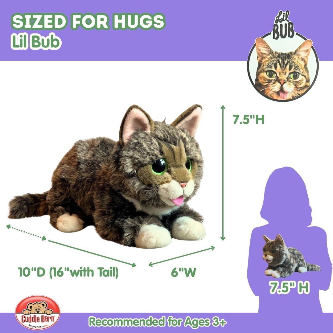 Lil Bub plush close-up face detail, capturing character and charm.