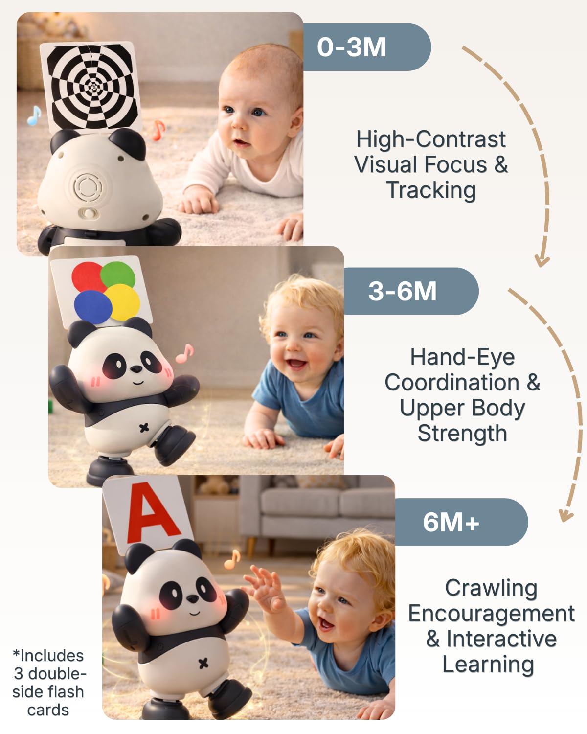 Cuddo Baby Dancing Panda with flash cards inserted for learning colors