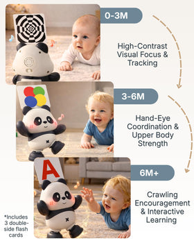 Cuddo Baby Dancing Panda with flash cards inserted for learning colors
