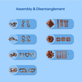 CUDNY wooden puzzle assembly and disassembly: durable, safe design for focused play.