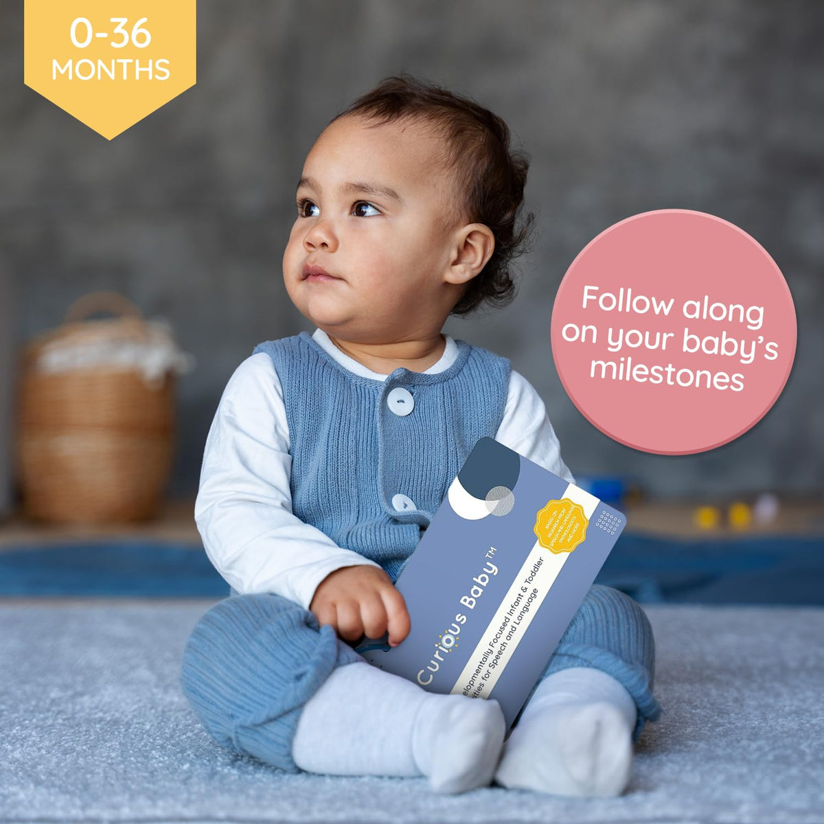 Curious Baby milestones overview card illustrates stages of early speech development.