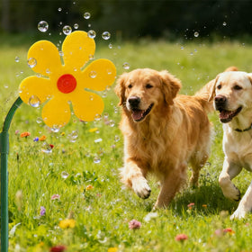 CUTENNIOU Crazy Daisy Sprinkler dancing action captures the watering motion while pets watch.