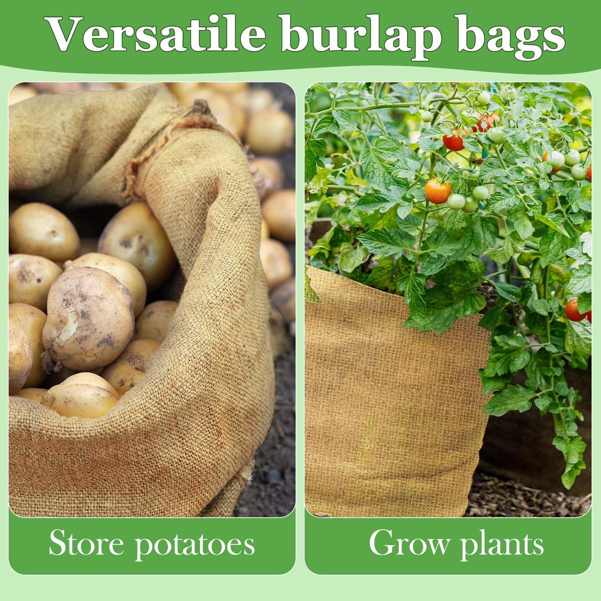 CWLAKON sacks ideal for outdoor parties, picnics, and reunions