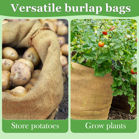 CWLAKON sacks ideal for outdoor parties, picnics, and reunions