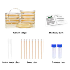 DalosDream project guide laid out for a science activity