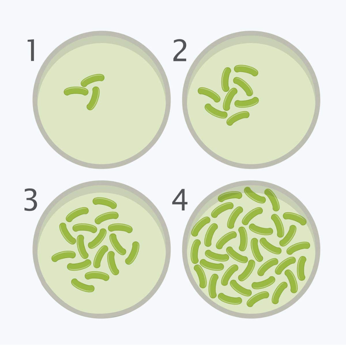 DalosDream sterile swabs ready for hands-on microbiology activity
