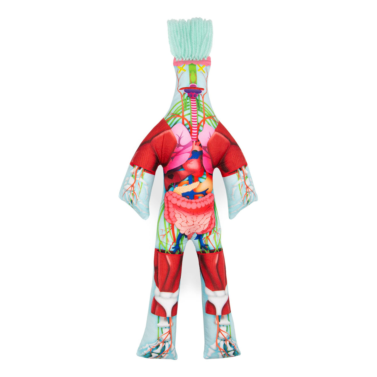 Dammit Doll anatomy front view shows organs for tactile stress relief and study