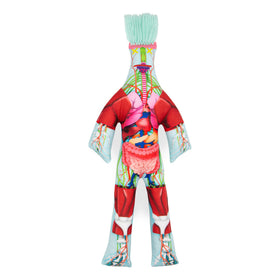 Dammit Doll anatomy front view shows organs for tactile stress relief and study